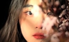 江芸媚战枭城小说免费阅读